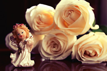 Similar image 1457771