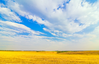 Similar image 1457783