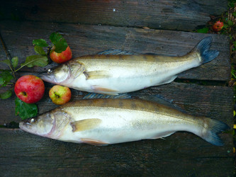 Similar image 1457805