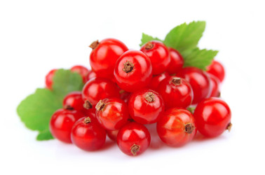 Similar image 1457836