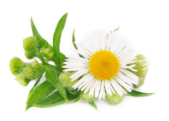 Similar image 1457837