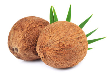 Similar image 1457838