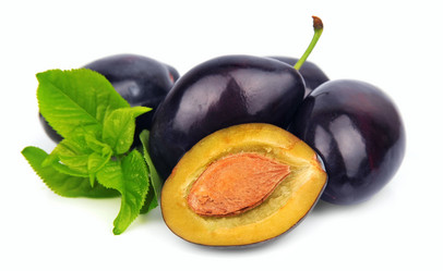 Similar image 1457842