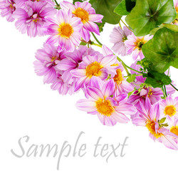 Similar image 1457912