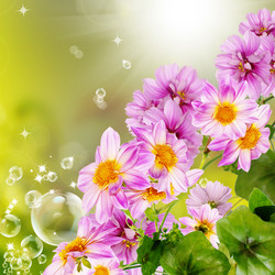 Similar image 1457932