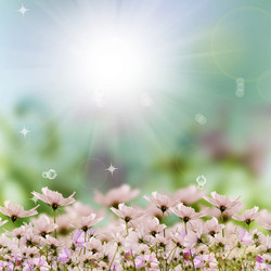 Similar image 1457936