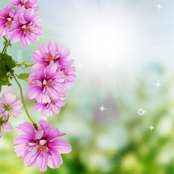 Similar image 1457939