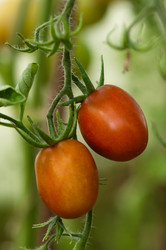 Similar image 1457941