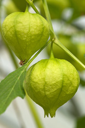 Similar image 1457942