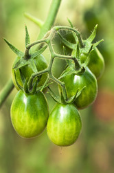 Similar image 1457944