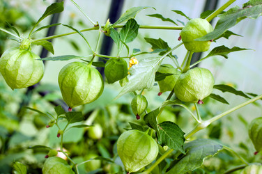 Similar image 1457945