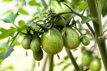 Similar image 1457946