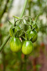 Similar image 1457947