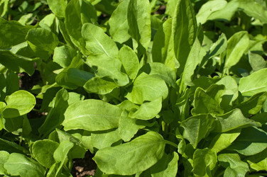 Similar image 1457948