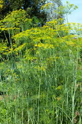 Similar image 1457949