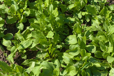 Similar image 1457951