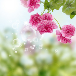 Similar image 1460000