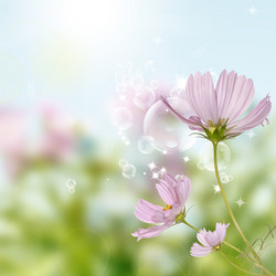 Similar image 1460001