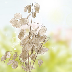 Similar image 1460002