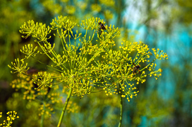 Similar image 1460004