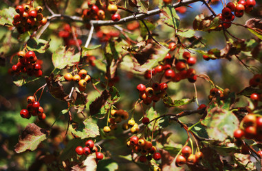 Similar image 1460058