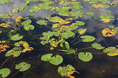 Similar image 1460059