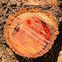 Similar image 1460076