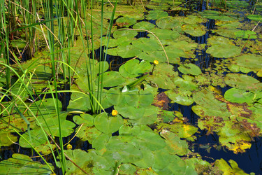 Similar image 1460091