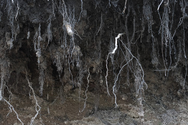 Similar image 1460102