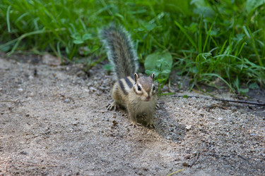 Similar image 1460104