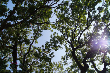 Similar image 1460123