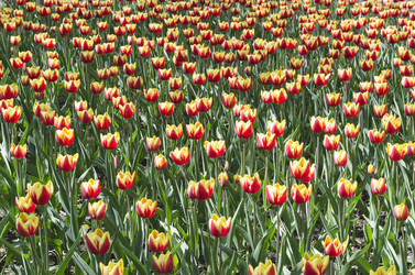 Similar image 1460157