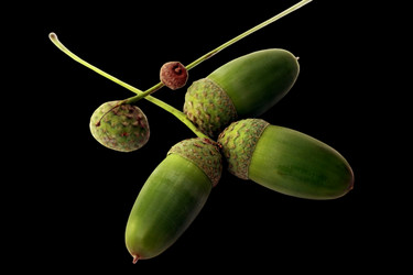 Similar image 1460185