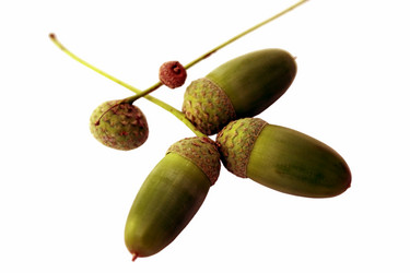 Similar image 1460186