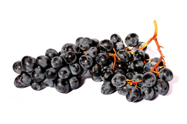 Similar image 1460190