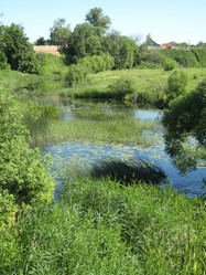 Similar image 1460205