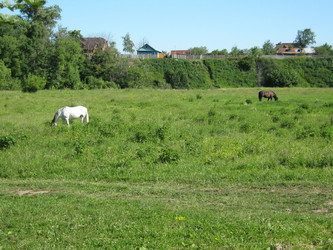 Similar image 1460206