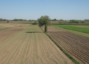 Similar image 1460210