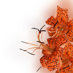 Similar image 1460275