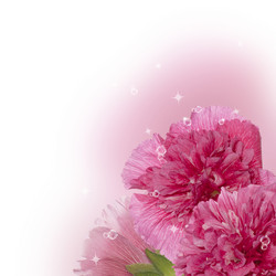 Similar image 1460276