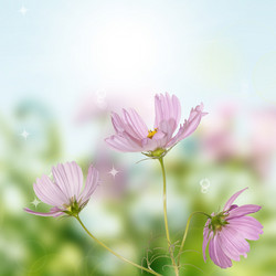 Similar image 1460277