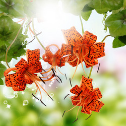 Similar image 1460278