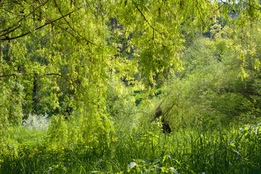 Similar image 1460281