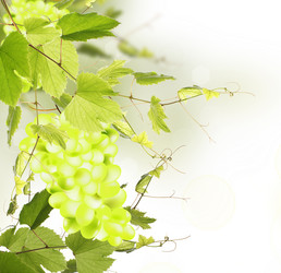 Similar image 1460312