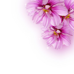 Similar image 1460314