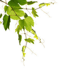 Similar image 1460315