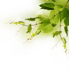 Similar image 1460316