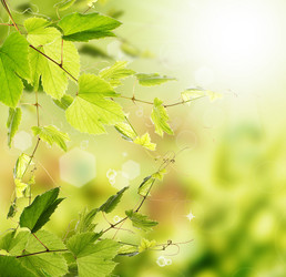 Similar image 1460319