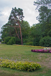 Similar image 1460338