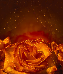 Similar image 1460376